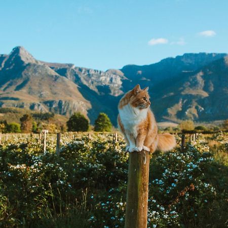 Wildebraam Berry Estate Swellendam Exterior foto