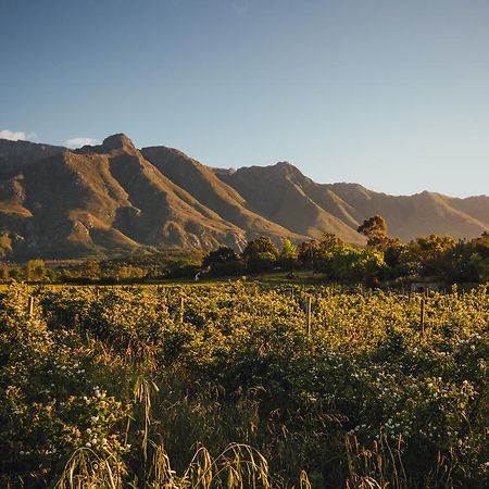 Wildebraam Berry Estate Swellendam Exterior foto