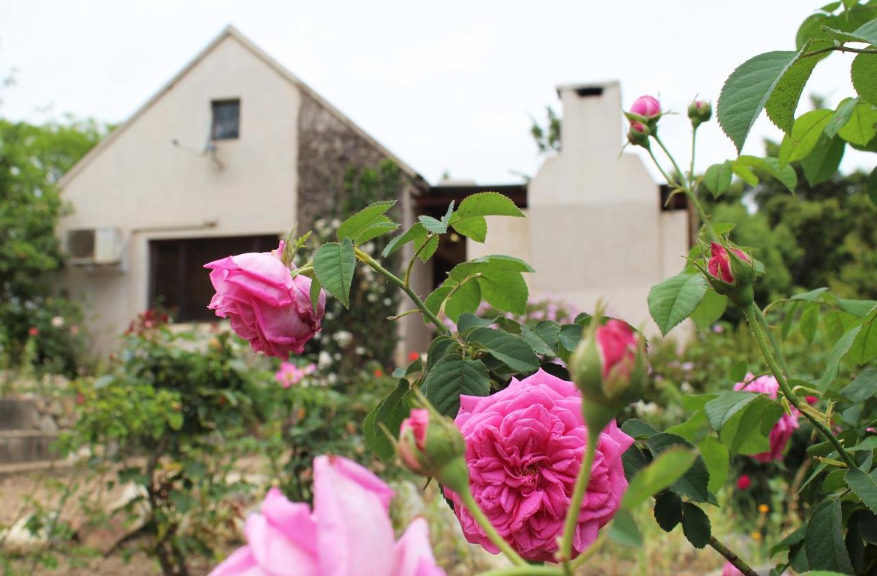 Wildebraam Berry Estate Swellendam Exterior foto