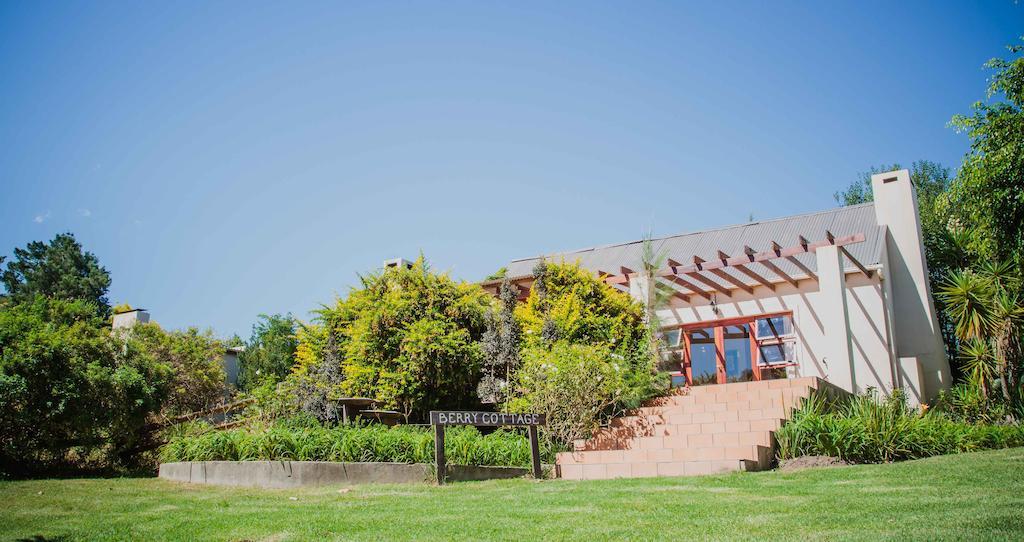 Wildebraam Berry Estate Swellendam Quarto foto