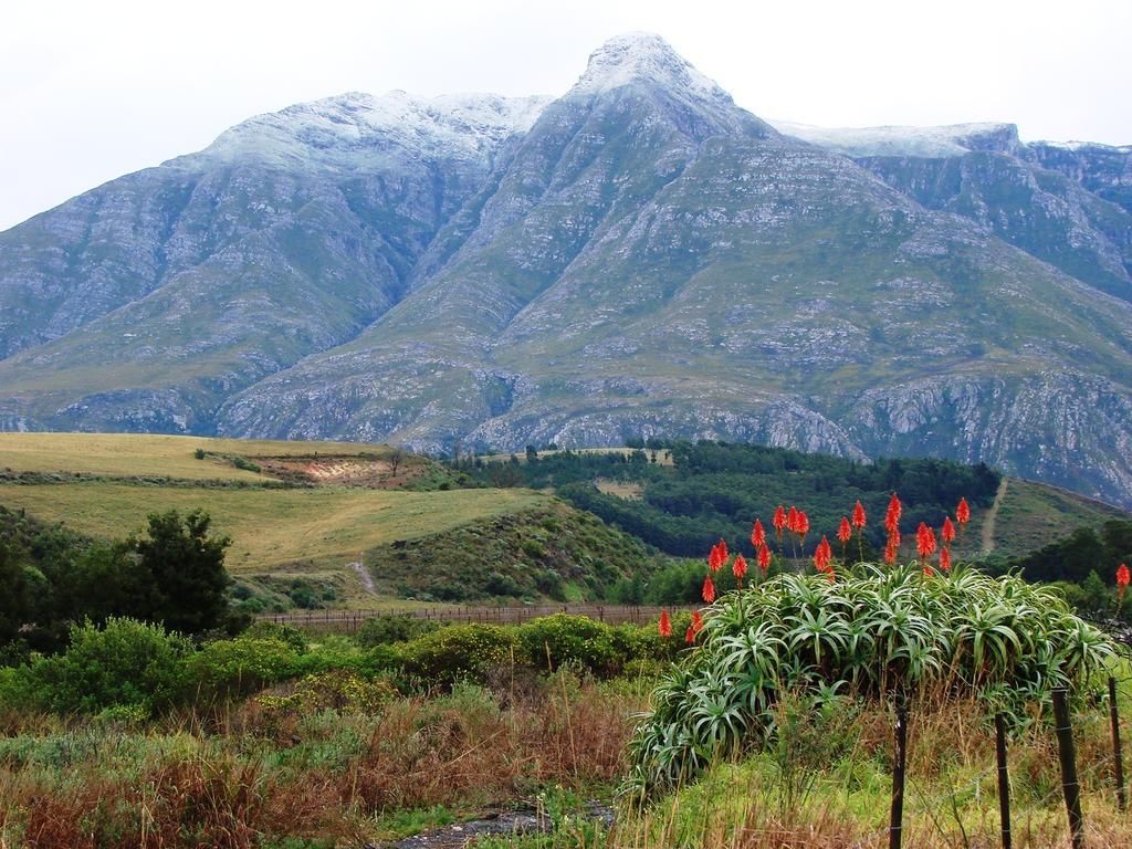 Wildebraam Berry Estate Swellendam Exterior foto